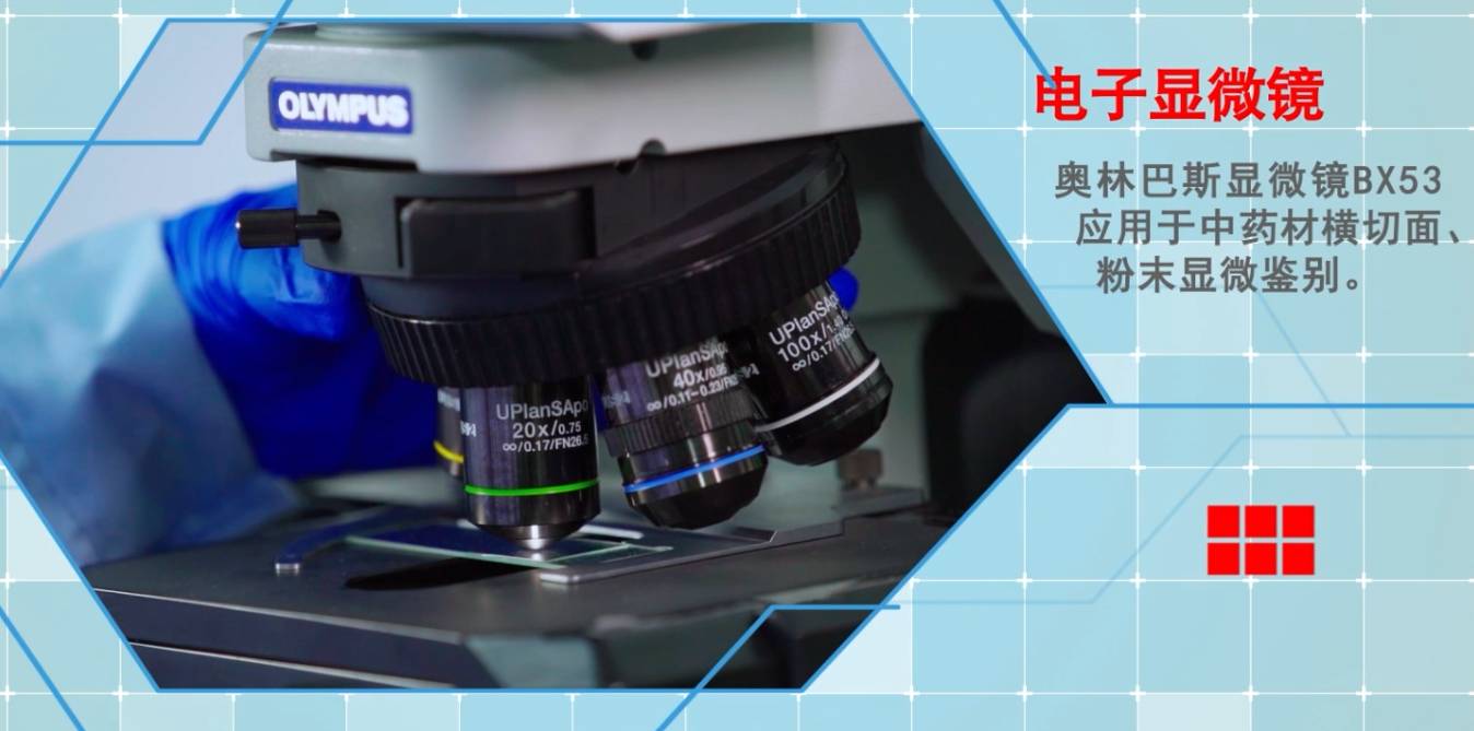 显微鉴别